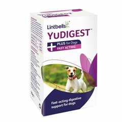 YuMOVE Digestive Care PLUS for Dogs - Sachets
